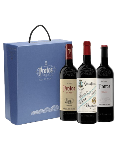 Protos Otoño - Un paseo por los vinos de la Ribera del Duero