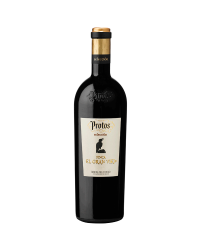 PROTOS FINCA EL GRAJO VIEJO 2021