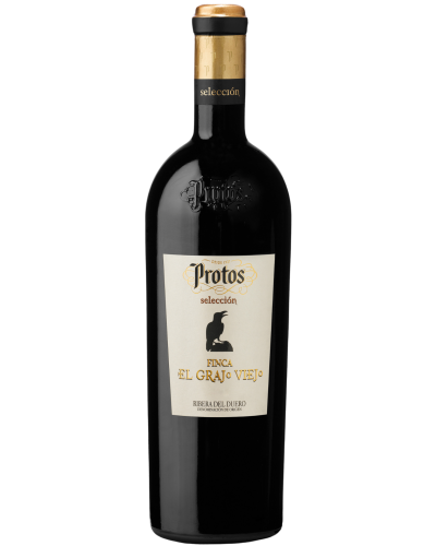 PROTOS FINCA EL GRAJO VIEJO 2021