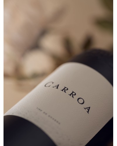 Carroa | Vino de guarda | Tinto fino Ribera del Duero